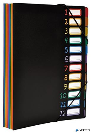 Irattartó mappa, gumis, 12 részes, VIQUEL 'Rainbow Class', fekete