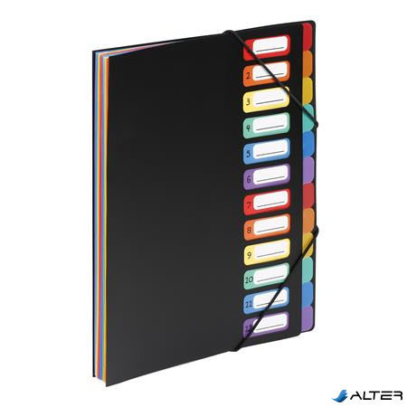 Irattartó mappa, gumis, 12 részes, VIQUEL "Rainbow Class", fekete
