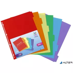 Regiszter, műanyag, A4 Maxi, 6 részes, VIQUEL