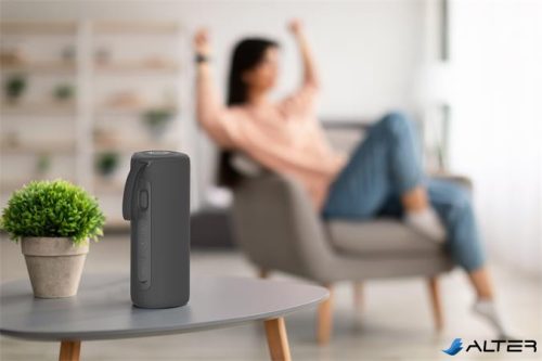 Hangszóró, hordozható, 24W, Bluetooth 5.0, KODAK PWS-2246