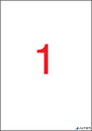 Etikett, 210x297 mm, poliészter, APLI, átlátszó, magasfényű, 10 etikett/csomag