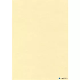   Előnyomott papír, A4, 95 g, pergamen hatású, APLI, pezsgő