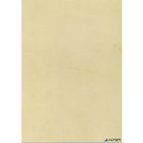 Előnyomott papír, A4, 200 g, APLI, havanna