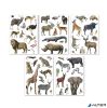 Matrica, újra felhasználható, 50 db, APLI Kids 'Stickers', szavanna állatai