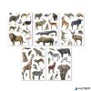 Matrica, újra felhasználható, 50 db, APLI Kids "Stickers", szavanna állatai