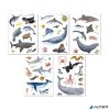 Matrica, újra felhasználható, 50 db, APLI Kids 'Stickers', tengeri állatok