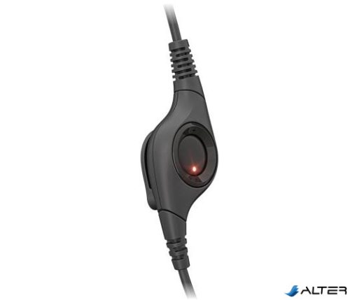 Fejhallgató, mikrofonnal, USB csatlakozás, LOGITECH "H390"