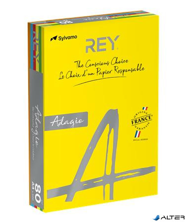 Másolópapír, színes, A4, 80 g, 5x100 lap, REY 'Adagio', intenzív mix