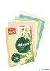 Másolópapír, színes, A4, 80 g, 5x100 lap, REY "Adagio", pasztell mix