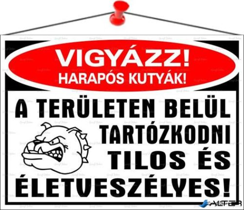 Információs tábla, 35x25 cm, "Vigyázz harapós kutyák!"