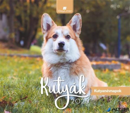 Naptár, asztali, álló, DAYLINER "Kutyák"