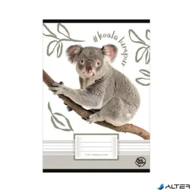   Füzet, tűzött, A5, vonalas, 32 lap, 1. osztály, OPTISCHOOL, "14-32", "Koala"