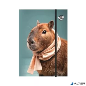 Gumis mappa, karton, A4, OPTISCHOOL "Capybara"