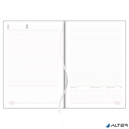 Tárgyalási napló, B5, DAYLINER, 'Memphis', piros-szürke