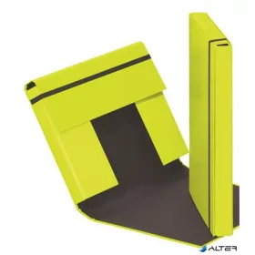   Füzetbox, A4, 40 mm, karton, PAGNA "Trend", lime zöld