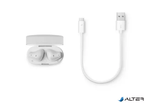 Fülhallgató, TWS vezeték nélküli, Bluetooth 5.3, PHILIPS "TAT2139", fehér