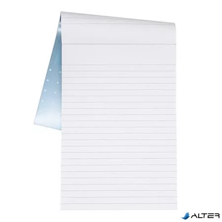 Jegyzetfüzet, A5, vonalas, 80 lap, PUKKA PAD "Metallic Writing Book", vegyes színek