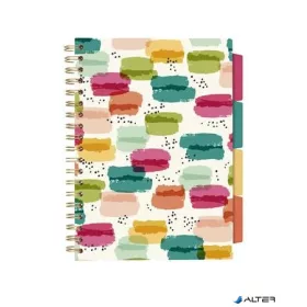   Spirálfüzet, B5, vonalas, 100 lap, PUKKA PAD "Colour Wash Project Book", vegyes minta