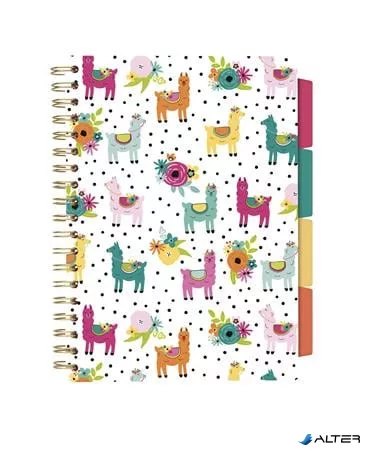 Spirálfüzet, B5, vonalas, 100 lap, PUKKA PAD "Colour Wash Project Book", vegyes minta