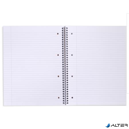 Spirálfüzet, A4+, vonalas, 100 lap, PUKKA PAD "Haze Jotta", vegyes szín