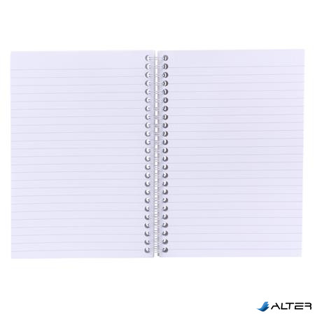 Spirálfüzet, A5, vonalas, 100 lap, PUKKA PAD 'Haze Jotta', vegyes szín