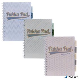   Spirálfüzet, A4, vonalas, elválasztóval, 100 lap, PUKKA PAD "Haze Project Book", vegyes szín