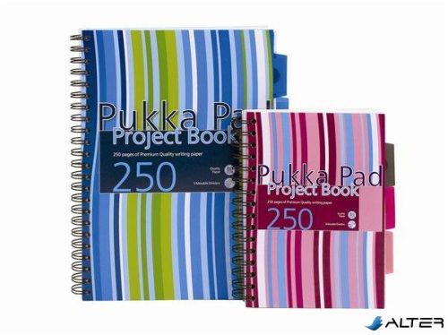 Spirálfüzet, A4, vonalas, 125 lap, PUKKA PAD "Stripe project book"
