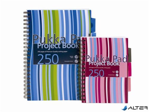 Spirálfüzet, A5, vonalas, 125 lap, PUKKA PAD "Stripe project book"