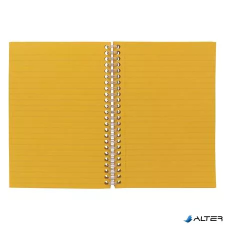 Spirálfüzet, A5, vonalas, 100 lap, PUKKA PAD "Irlen Jotta Gold"