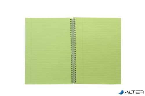 Spirálfüzet, A5, vonalas, 100 lap, PUKKA PAD "Irlen Jotta Green"