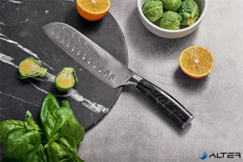 Santoku kés, 19 cm, RESTO 'Eridanus 95332'