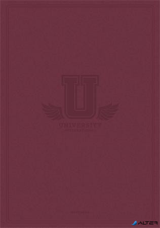 Füzet, tűzött, A4, kockás, 60 lap, SHKOLYARYK "University International", vegyes