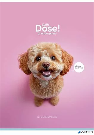 Füzet, tűzött, A4, vonalas, 80 lap, SHKOLYARYK "Daily Dose", vegyes