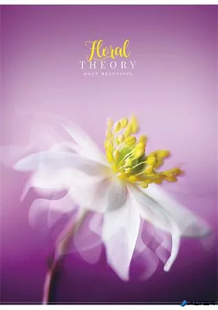 Füzet, tűzött, A4, vonalas, 80 lap, SHKOLYARYK "Floral Teory", vegyes
