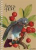 Spirálfüzet, A6, kockás, 80 lap, SHKOLYARYK "Spring Hope", vegyes