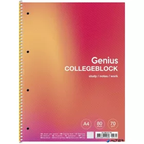   Spirálfüzet, A4+, kockás, 80 lap, SHKOLYARYK "Genius", vegyes