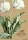 Spirálfüzet, A5, sima, 96 lap, SHKOLYARYK "We Grow", vegyes