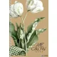 Spirálfüzet, A5, sima, 96 lap, SHKOLYARYK "We Grow", vegyes