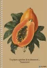 Spirálfüzet, A5, sima, 96 lap, SHKOLYARYK "We Grow", vegyes