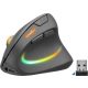 Egér, vezeték nélküli, optikai, vertikális, USB, SPEEDLINK "Piavo Pro", fekete