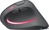 Egér, vezeték nélküli, optikai, vertikális, USB, SPEEDLINK "Piavo Pro", fekete
