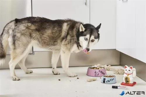 Alkoholos marker, 2-7 mm, vágott, EDDING "500", fekete