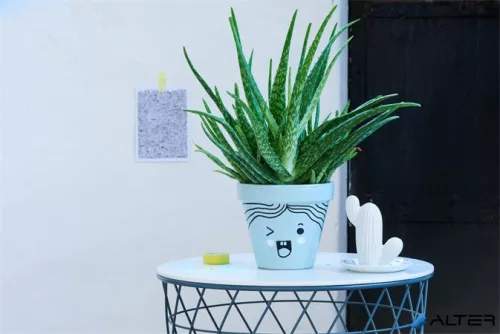 Lakkmarker, 2-4 mm, EDDING "750", világoskék