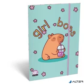 Gumis mappa, karton, A5, LIZZYSULI, Lollipop Capibara