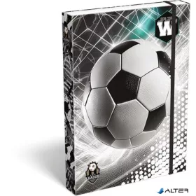 Füzetbox, A4, LIZZYSULI, "Top League"
