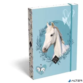   Füzetbox, A5, LIZZYSULI, "Wild Beauty, Sport Club"
