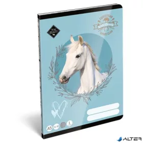   Füzet, tűzött, A5, vonalas, 32 lap, 1. osztály, LIZZYSULI, "Wild Beauty, Sport Club","14-32"