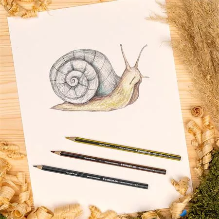 Színes ceruza készlet, hatszögletű, STAEDTLER 'Noris Colour 185', 24 különböző szín