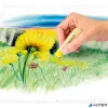 Porkréta, STAEDTLER "2430", 12 különböző szín