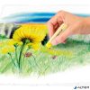 Porkréta, STAEDTLER "2430", 24 különböző szín
